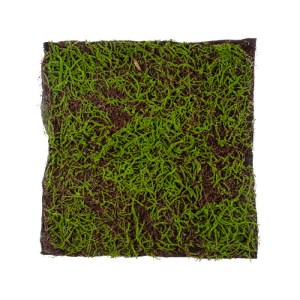 glo-20143-20143_2 GLOBOSTAR® ARTIFICIAL GARDEN BRYOPHYTA 20143 ΤΕΧΝΗΤΟ ΔΙΑΚΟΣΜΗΤΙΚΟ ΠΑΝΕΛ ΦΥΛΛΩΣΙΑΣ - ΚΑΘΕΤΟ