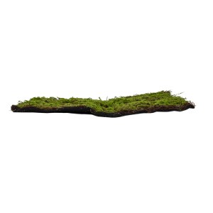 glo-20143-20143_3 GLOBOSTAR® ARTIFICIAL GARDEN BRYOPHYTA 20143 ΤΕΧΝΗΤΟ ΔΙΑΚΟΣΜΗΤΙΚΟ ΠΑΝΕΛ ΦΥΛΛΩΣΙΑΣ - ΚΑΘΕΤΟ