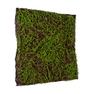 glo-20143-20143_4 GLOBOSTAR® ARTIFICIAL GARDEN BRYOPHYTA 20143 ΤΕΧΝΗΤΟ ΔΙΑΚΟΣΜΗΤΙΚΟ ΠΑΝΕΛ ΦΥΛΛΩΣΙΑΣ - ΚΑΘΕΤΟ