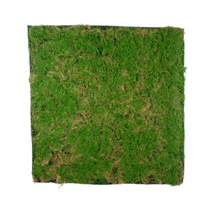 glo-20144-20144_2 GLOBOSTAR® ARTIFICIAL GARDEN BRYOPHYTA 20144 ΤΕΧΝΗΤΟ ΔΙΑΚΟΣΜΗΤΙΚΟ ΠΑΝΕΛ ΦΥΛΛΩΣΙΑΣ - ΚΑΘΕΤΟ