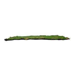 glo-20144-20144_3 GLOBOSTAR® ARTIFICIAL GARDEN BRYOPHYTA 20144 ΤΕΧΝΗΤΟ ΔΙΑΚΟΣΜΗΤΙΚΟ ΠΑΝΕΛ ΦΥΛΛΩΣΙΑΣ - ΚΑΘΕΤΟ