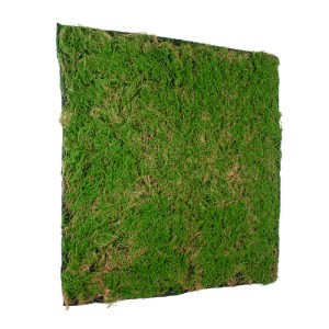 glo-20144-20144_4 GLOBOSTAR® ARTIFICIAL GARDEN BRYOPHYTA 20144 ΤΕΧΝΗΤΟ ΔΙΑΚΟΣΜΗΤΙΚΟ ΠΑΝΕΛ ΦΥΛΛΩΣΙΑΣ - ΚΑΘΕΤΟ