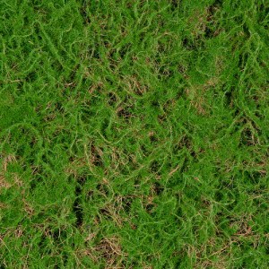 glo-20144-20144_5 GLOBOSTAR® ARTIFICIAL GARDEN BRYOPHYTA 20144 ΤΕΧΝΗΤΟ ΔΙΑΚΟΣΜΗΤΙΚΟ ΠΑΝΕΛ ΦΥΛΛΩΣΙΑΣ - ΚΑΘΕΤΟ