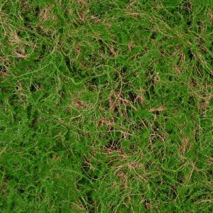 glo-20144-20144_6 GLOBOSTAR® ARTIFICIAL GARDEN BRYOPHYTA 20144 ΤΕΧΝΗΤΟ ΔΙΑΚΟΣΜΗΤΙΚΟ ΠΑΝΕΛ ΦΥΛΛΩΣΙΑΣ - ΚΑΘΕΤΟ