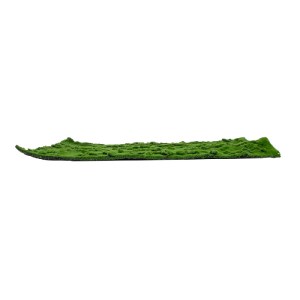 glo-20145-20145_3 GLOBOSTAR® ARTIFICIAL GARDEN BRYOPHYTA 20145 ΤΕΧΝΗΤΟ ΔΙΑΚΟΣΜΗΤΙΚΟ ΠΑΝΕΛ ΦΥΛΛΩΣΙΑΣ - ΚΑΘΕΤΟ