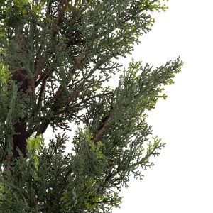 glo-20151-20151_3 GLOBOSTAR® ARTIFICIAL GARDEN LEMON CYPRESS 20151 ΤΕΧΝΗΤΟ ΔΙΑΚΟΣΜΗΤΙΚΟ ΦΥΤΟ ΛΕΜΟΝΟΚΥΠΑΡΙΣΣΟ