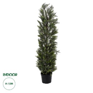 glo-20152-20152_0 GLOBOSTAR® ARTIFICIAL GARDEN LEMON CYPRESS 20152 ΤΕΧΝΗΤΟ ΔΙΑΚΟΣΜΗΤΙΚΟ ΦΥΤΟ ΛΕΜΟΝΟΚΥΠΑΡΙΣΣΟ