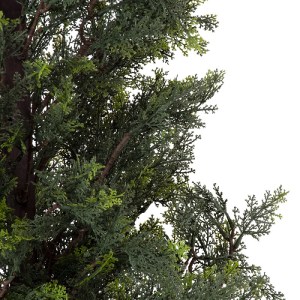 glo-20153-20153_3 GLOBOSTAR® ARTIFICIAL GARDEN LEMON CYPRESS 20153 ΤΕΧΝΗΤΟ ΔΙΑΚΟΣΜΗΤΙΚΟ ΦΥΤΟ ΛΕΜΟΝΟΚΥΠΑΡΙΣΣΟ