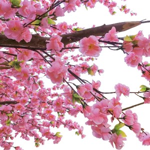 glo-20159-20159_3 GLOBOSTAR® ARTIFICIAL GARDEN PEACH BLOSSOM TREE 20159 ΤΕΧΝΗΤΟ ΔΙΑΚΟΣΜΗΤΙΚΟ ΔΕΝΤΡΟ ΑΝΘΙΣΜΕΝ