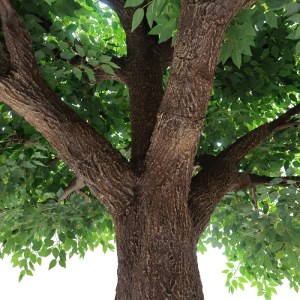 glo-20160-20160_3 GLOBOSTAR® ARTIFICIAL GARDEN BANYAN FICUS TREE 20160 ΤΕΧΝΗΤΟ ΔΙΑΚΟΣΜΗΤΙΚΟ ΔΕΝΤΡΟ ΙΝΔΙΚΗ ΣΥ