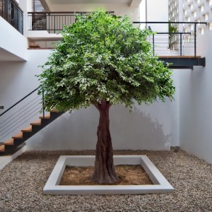 glo-20160-20160_insta GLOBOSTAR® ARTIFICIAL GARDEN BANYAN FICUS TREE 20160 ΤΕΧΝΗΤΟ ΔΙΑΚΟΣΜΗΤΙΚΟ ΔΕΝΤΡΟ ΙΝΔΙΚΗ ΣΥ