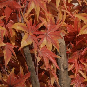 glo-20162-20162_3 GLOBOSTAR® ARTIFICIAL GARDEN MAPLE TREE 20162 ΤΕΧΝΗΤΟ ΔΙΑΚΟΣΜΗΤΙΚΟ ΔΕΝΤΡΟ ΣΦΕΝΔΑΜΟΣ Υ340CM