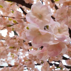 glo-20167-20167_3 GLOBOSTAR® ARTIFICIAL GARDEN CHERRY PRUNUS BLOSSOM TREE 20167 ΤΕΧΝΗΤΟ ΔΙΑΚΟΣΜΗΤΙΚΟ ΔΕΝΤΡΟ 