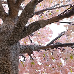 glo-20167-20167_4 GLOBOSTAR® ARTIFICIAL GARDEN CHERRY PRUNUS BLOSSOM TREE 20167 ΤΕΧΝΗΤΟ ΔΙΑΚΟΣΜΗΤΙΚΟ ΔΕΝΤΡΟ 