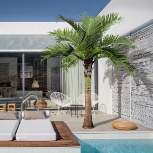 glo-20169-20169_insta GLOBOSTAR® ARTIFICIAL GARDEN COCONUT PALM TREE 20169 ΤΕΧΝΗΤΟ ΔΙΑΚΟΣΜΗΤΙΚΟ ΦΥΤΟ ΦΟΙΝΙΚΟΔΕΝΤ