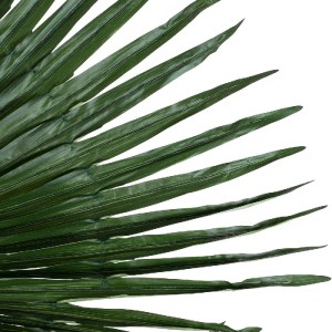 glo-20170-20170_3 GLOBOSTAR® ARTIFICIAL GARDEN WASHINGTONIA FILIFERA PALM LEAF 20170 ΤΕΧΝΗΤΟ ΔΙΑΚΟΣΜΗΤΙΚΟ ΦΥ