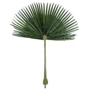 glo-20171-20171_2 GLOBOSTAR® ARTIFICIAL GARDEN WASHINGTONIA FILIFERA PALM LEAF 20171 ΤΕΧΝΗΤΟ ΔΙΑΚΟΣΜΗΤΙΚΟ ΦΥ