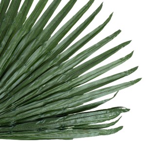 glo-20171-20171_3 GLOBOSTAR® ARTIFICIAL GARDEN WASHINGTONIA FILIFERA PALM LEAF 20171 ΤΕΧΝΗΤΟ ΔΙΑΚΟΣΜΗΤΙΚΟ ΦΥ