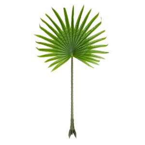 glo-20172-20172_2 GLOBOSTAR® ARTIFICIAL GARDEN SERENOA PALM LEAF 20172 ΤΕΧΝΗΤΟ ΔΙΑΚΟΣΜΗΤΙΚΟ ΦΥΛΟ ΦΟΙΝΙΚΟΔΕΝΤ