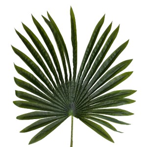glo-20173-20173_3 GLOBOSTAR® ARTIFICIAL GARDEN SERENOA PALM LEAF 20173 ΤΕΧΝΗΤΟ ΔΙΑΚΟΣΜΗΤΙΚΟ ΦΥΛΟ ΦΟΙΝΙΚΟΔΕΝΤ