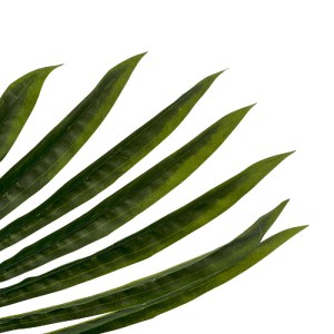 glo-20173-20173_4 GLOBOSTAR® ARTIFICIAL GARDEN SERENOA PALM LEAF 20173 ΤΕΧΝΗΤΟ ΔΙΑΚΟΣΜΗΤΙΚΟ ΦΥΛΟ ΦΟΙΝΙΚΟΔΕΝΤ