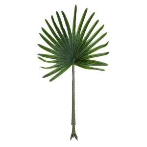 glo-20174-20174_2 GLOBOSTAR® ARTIFICIAL GARDEN SERENOA PALM LEAF 20174 ΤΕΧΝΗΤΟ ΔΙΑΚΟΣΜΗΤΙΚΟ ΦΥΛΟ ΦΟΙΝΙΚΟΔΕΝΤ