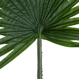 glo-20174-20174_3 GLOBOSTAR® ARTIFICIAL GARDEN SERENOA PALM LEAF 20174 ΤΕΧΝΗΤΟ ΔΙΑΚΟΣΜΗΤΙΚΟ ΦΥΛΟ ΦΟΙΝΙΚΟΔΕΝΤ