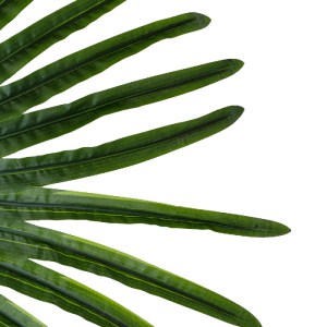 glo-20174-20174_4 GLOBOSTAR® ARTIFICIAL GARDEN SERENOA PALM LEAF 20174 ΤΕΧΝΗΤΟ ΔΙΑΚΟΣΜΗΤΙΚΟ ΦΥΛΟ ΦΟΙΝΙΚΟΔΕΝΤ