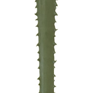 glo-20174-20174_5 GLOBOSTAR® ARTIFICIAL GARDEN SERENOA PALM LEAF 20174 ΤΕΧΝΗΤΟ ΔΙΑΚΟΣΜΗΤΙΚΟ ΦΥΛΟ ΦΟΙΝΙΚΟΔΕΝΤ