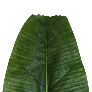 glo-20177-20177_3 GLOBOSTAR® ARTIFICIAL GARDEN BANANA TREE LEAF 20177 - ΤΕΧΝΗΤΟ ΔΙΑΚΟΣΜΗΤΙΚΟ ΦΥΛΟ ΜΠΑΝΑΝΙΑΣ 