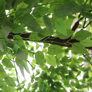 glo-20186-20186_3 GLOBOSTAR® ARTIFICIAL GARDEN BANYAN FICUS TREE 20186 ΤΕΧΝΗΤΟ ΔΙΑΚΟΣΜΗΤΙΚΟ ΔΕΝΤΡΟ ΙΝΔΙΚΗ ΣΥ