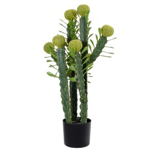 glo-20192-20192_2 GLOBOSTAR® ARTIFICIAL GARDEN CEREUS JAMACARU CACTUS 20192 ΤΕΧΝΗΤΟ ΔΙΑΚΟΣΜΗΤΙΚΟ ΦΥΤΟ ΚΑΚΤΟΣ