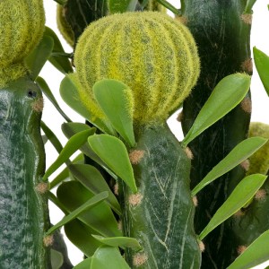 glo-20192-20192_4 GLOBOSTAR® ARTIFICIAL GARDEN CEREUS JAMACARU CACTUS 20192 ΤΕΧΝΗΤΟ ΔΙΑΚΟΣΜΗΤΙΚΟ ΦΥΤΟ ΚΑΚΤΟΣ
