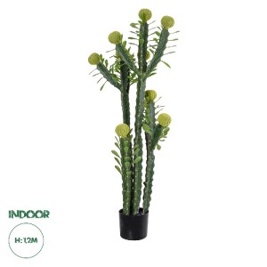 glo-20193-20193_0 GLOBOSTAR® ARTIFICIAL GARDEN CEREUS JAMACARU CACTUS 20193 ΤΕΧΝΗΤΟ ΔΙΑΚΟΣΜΗΤΙΚΟ ΦΥΤΟ ΚΑΚΤΟΣ