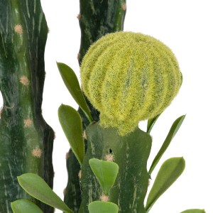 glo-20193-20193_3 GLOBOSTAR® ARTIFICIAL GARDEN CEREUS JAMACARU CACTUS 20193 ΤΕΧΝΗΤΟ ΔΙΑΚΟΣΜΗΤΙΚΟ ΦΥΤΟ ΚΑΚΤΟΣ