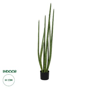 glo-20210-20210_0 GLOBOSTAR® ARTIFICIAL GARDEN SANSEVIERIA CYLINDRICA 20210 ΤΕΧΝΗΤΟ ΔΙΑΚΟΣΜΗΤΙΚΟ ΦΥΤΟ ΣΑΝΣΕΒ