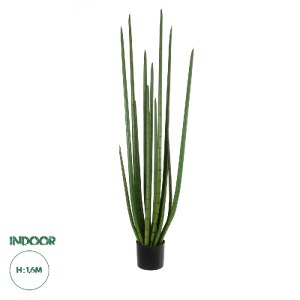 glo-20211-20211_0 GLOBOSTAR® ARTIFICIAL GARDEN SANSEVIERIA CYLINDRICA 20211 ΤΕΧΝΗΤΟ ΔΙΑΚΟΣΜΗΤΙΚΟ ΦΥΤΟ ΣΑΝΣΕΒ
