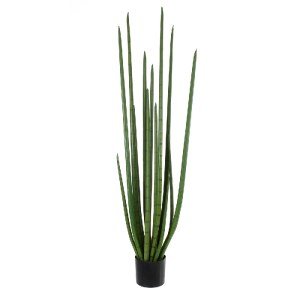 glo-20211-20211_2 GLOBOSTAR® ARTIFICIAL GARDEN SANSEVIERIA CYLINDRICA 20211 ΤΕΧΝΗΤΟ ΔΙΑΚΟΣΜΗΤΙΚΟ ΦΥΤΟ ΣΑΝΣΕΒ