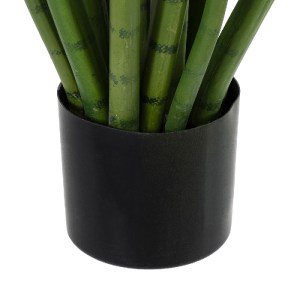 glo-20211-20211_5 GLOBOSTAR® ARTIFICIAL GARDEN SANSEVIERIA CYLINDRICA 20211 ΤΕΧΝΗΤΟ ΔΙΑΚΟΣΜΗΤΙΚΟ ΦΥΤΟ ΣΑΝΣΕΒ