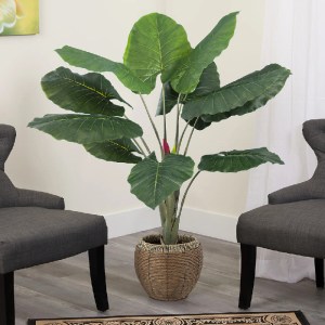 glo-20216-20216_20337 GLOBOSTAR® ARTIFICIAL GARDEN TARO 20216 ΤΕΧΝΗΤΟ ΔΙΑΚΟΣΜΗΤΙΚΟ ΦΥΤΟ ΚΟΛΟΚΑΣΙΑ Υ140CM