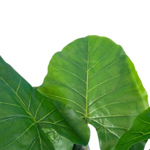 glo-20216-20216_3 GLOBOSTAR® ARTIFICIAL GARDEN TARO 20216 ΤΕΧΝΗΤΟ ΔΙΑΚΟΣΜΗΤΙΚΟ ΦΥΤΟ ΚΟΛΟΚΑΣΙΑ Υ140CM