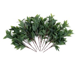 glo-20225-20225_2 GLOBOSTAR® ARTIFICIAL GARDEN LAURUS NOBILIS BRANCH 20225 10 X ΤΕΧΝΗΤΑ ΔΙΑΚΟΣΜΗΤΙΚΑ ΚΛΑΔΙΑ 
