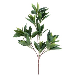 glo-20225-7ff282_20225_2 GLOBOSTAR® ARTIFICIAL GARDEN LAURUS NOBILIS BRANCH 20225 10 X ΤΕΧΝΗΤΑ ΔΙΑΚΟΣΜΗΤΙΚΑ ΚΛΑΔΙΑ 