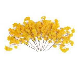 glo-20229-20229_2 GLOBOSTAR® ARTIFICIAL GARDEN GINKGO BRANCH 20229 10 X ΤΕΧΝΗΤΑ ΔΙΑΚΟΣΜΗΤΙΚΑ ΚΛΑΔΙΑ ΓΚΙΓΚΟ Π