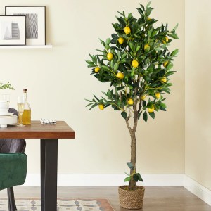 glo-20267-2fcfcf_20214_20267.png GLOBOSTAR® ARTIFICIAL GARDEN SIFNOS 20267 ΔΙΑΚΟΣΜΗΤΙΚΟ ΠΛΕΚΤΟ ΚΑΛΑΘΙ - ΚΑΣΠΩ ΓΛΑΣΤΡΑ - FLO