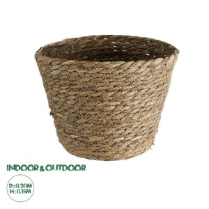 glo-20269-20269_0 GLOBOSTAR® ARTIFICIAL GARDEN PATMOS 20269 ΔΙΑΚΟΣΜΗΤΙΚΟ ΠΛΕΚΤΟ ΚΑΛΑΘΙ - ΚΑΣΠΩ ΓΛΑΣΤΡΑ - FLO
