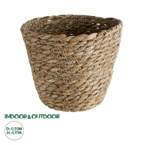 glo-20270-20270_0 GLOBOSTAR® ARTIFICIAL GARDEN PATMOS 20270 ΔΙΑΚΟΣΜΗΤΙΚΟ ΠΛΕΚΤΟ ΚΑΛΑΘΙ - ΚΑΣΠΩ ΓΛΑΣΤΡΑ - FLO