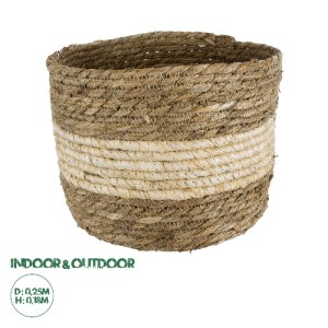 glo-20274-20274_0 GLOBOSTAR® ARTIFICIAL GARDEN KYTHIRA 20274 ΔΙΑΚΟΣΜΗΤΙΚΟ ΠΛΕΚΤΟ ΚΑΛΑΘΙ - ΚΑΣΠΩ ΓΛΑΣΤΡΑ - FL