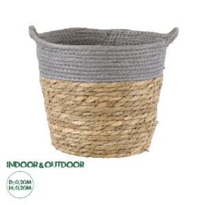 glo-20281-20281_0 GLOBOSTAR® ARTIFICIAL GARDEN SYROS 20281 ΔΙΑΚΟΣΜΗΤΙΚΟ ΠΛΕΚΤΟ ΚΑΛΑΘΙ - ΚΑΣΠΩ ΓΛΑΣΤΡΑ - FLOW