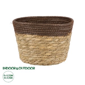 glo-20287-20287_0 GLOBOSTAR® ARTIFICIAL GARDEN LEFKADA 20287 ΔΙΑΚΟΣΜΗΤΙΚΟ ΠΛΕΚΤΟ ΚΑΛΑΘΙ - ΚΑΣΠΩ ΓΛΑΣΤΡΑ - FL